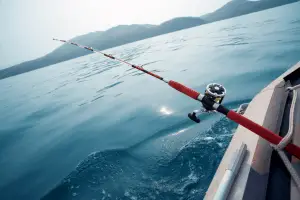 Fishing reel from a boat at sea