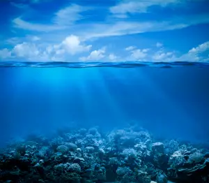 Abstract sea and ocean background