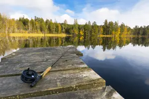 fly rod with an autumn background of trees