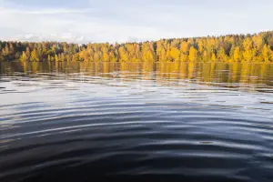 Beautiful lake and landscape from the water.