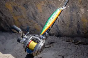 A picture of a rigged up baitcasting reel