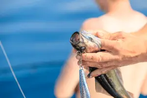 Fisherman holding fish while saltwater fishing
