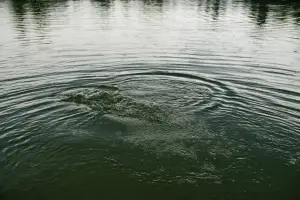 A sports fishing lake