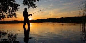 Angler silhouette during summer sunset