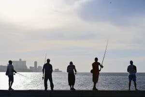 Five men fishing near the city shore