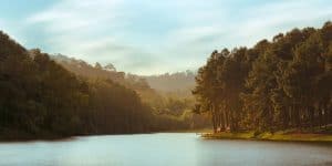Scenic river for fishing
