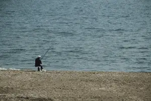 Best Quantum Fishing Reel Reviews