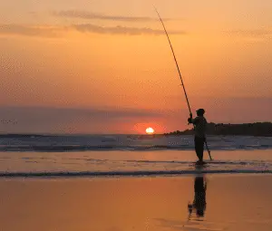 Best Surf Fishing Reels