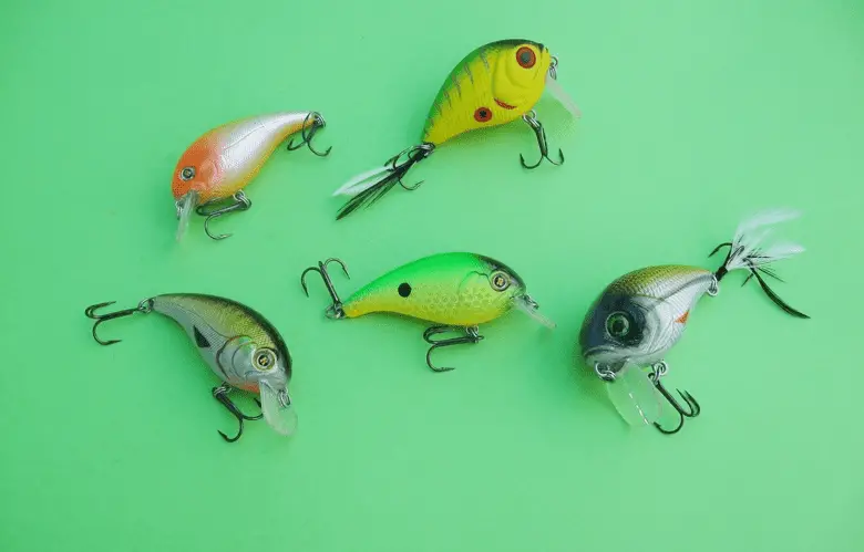 different types of fishing baits against a green background