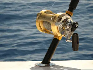close up shot of a golden fishing reel