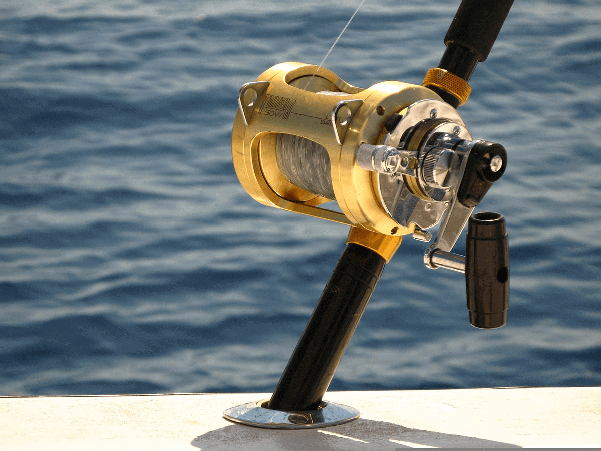 Top 5 Best Conventional Reels in 2024 Fishing Command