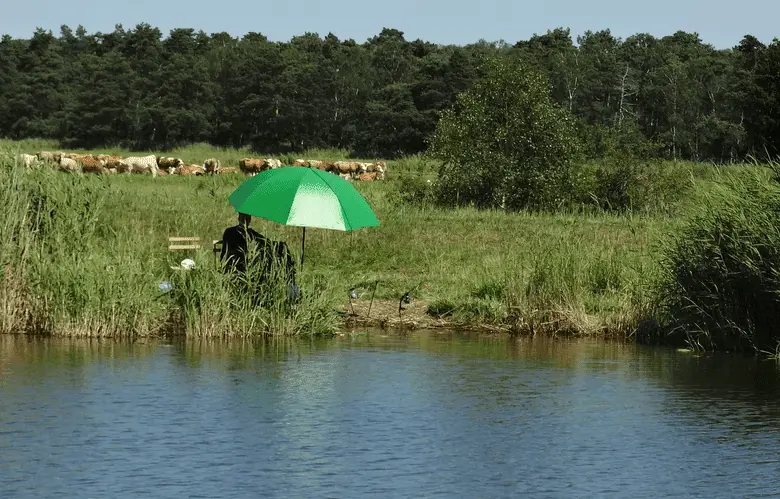 angler fishing under an umbrella on the lake shore