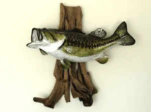 fish mounted on a wooden trophy