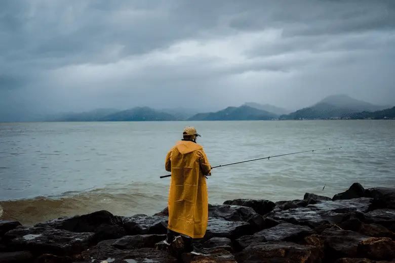 How to Get a Walmart Fishing License Online (All You Need To Know)