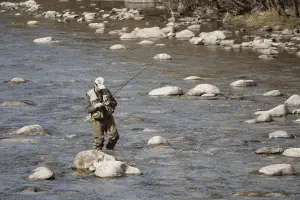 angler fishing in the middle of a river