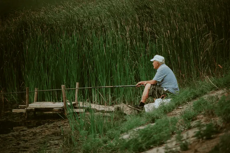 angler fishing from the riverside in tall grass