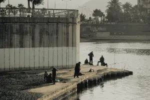 group of anglers fishing from the dock