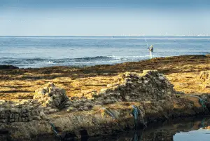 angler fishing from a rocky sea shore