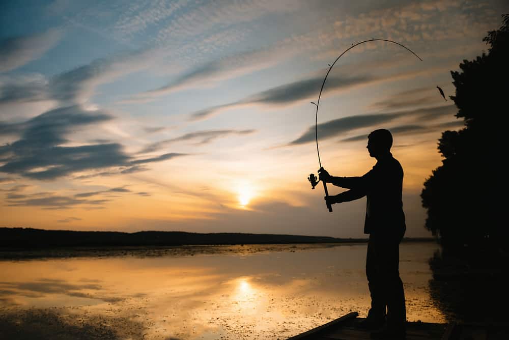 A man is fishing on a dock at sunset using a Daiwa spinning reel.